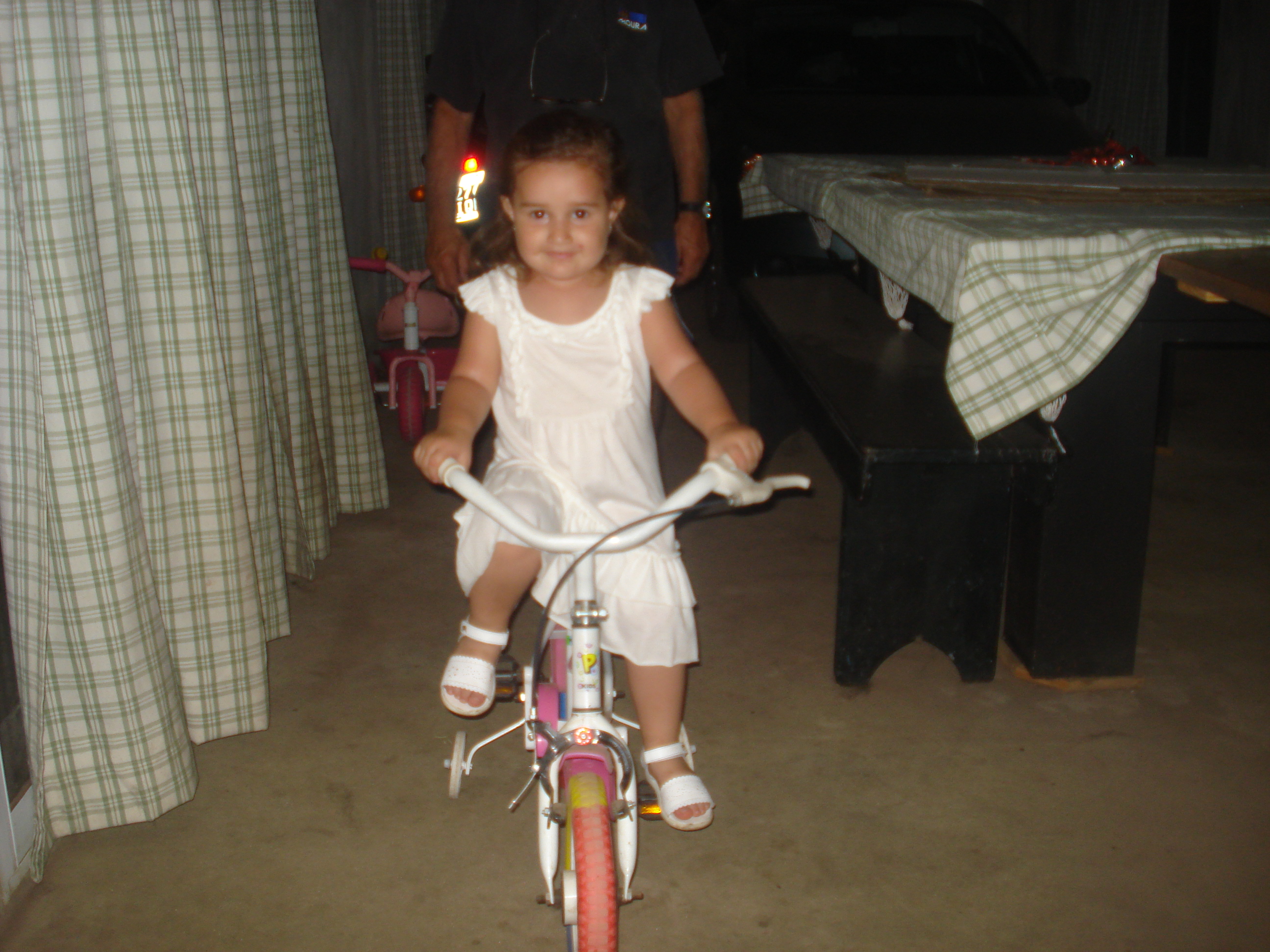 fotos/2012-12-24 - Navidad y pileta/DSC05070.JPG